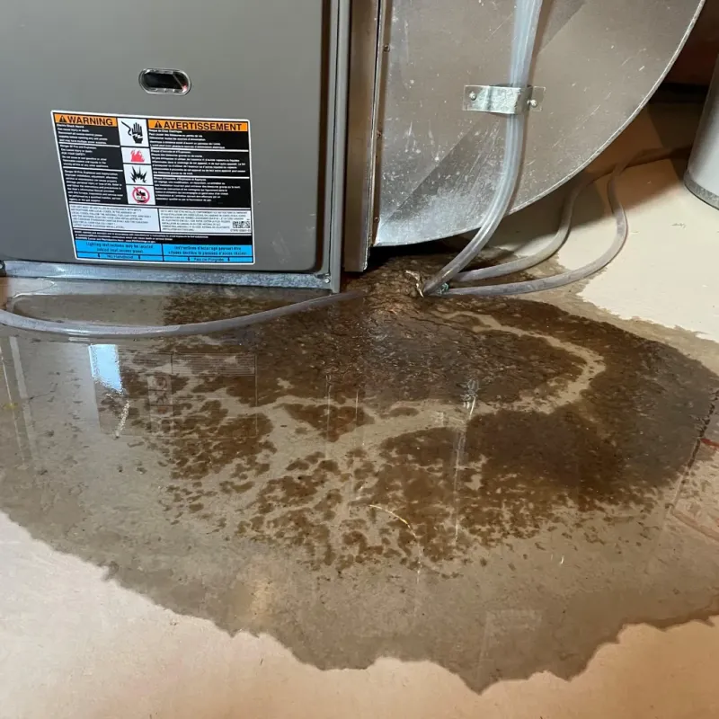 Appliance Leak Cleanup in East Norwich, NY